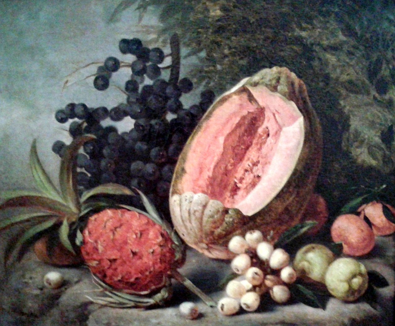 Dynia i ananas autorstwa Agostinho Jose da Mota