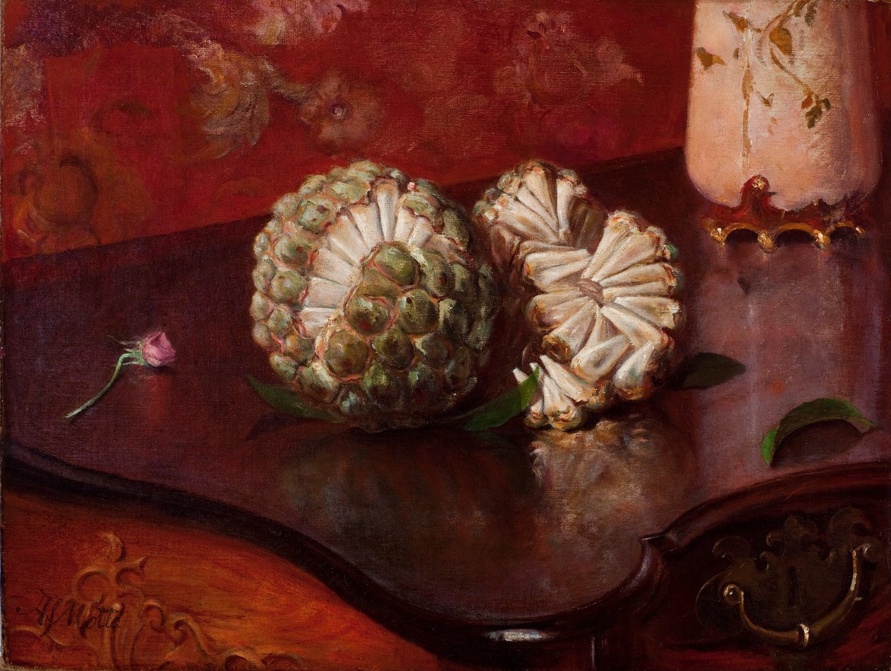 Sweetsop autorstwa Agostinhoda Motta