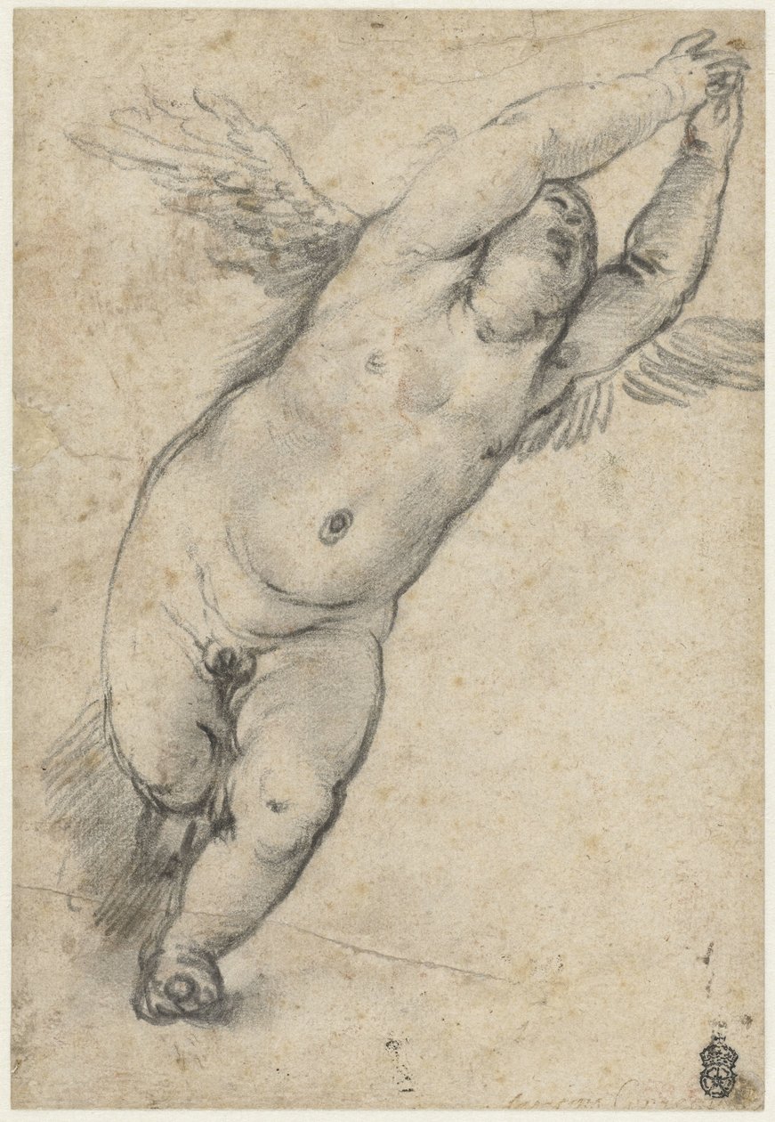 Latające putto z uniesionymi rękami autorstwa Agostino Carracci (attributed to)