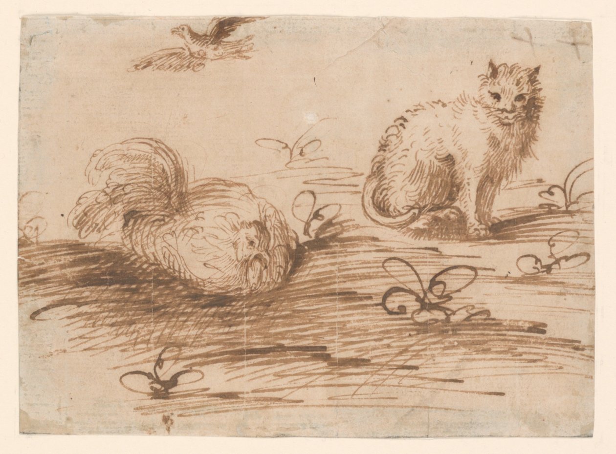 Kot i kura siedząca autorstwa Agostino Carracci