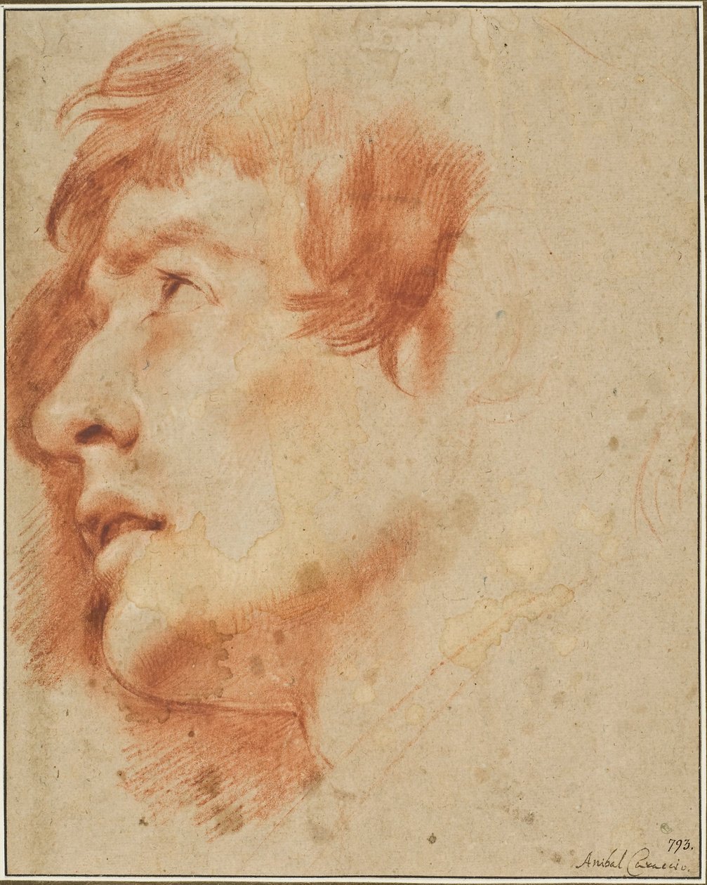 Głowa młodego mężczyzny spoglądającego w górę autorstwa Agostino Carracci
