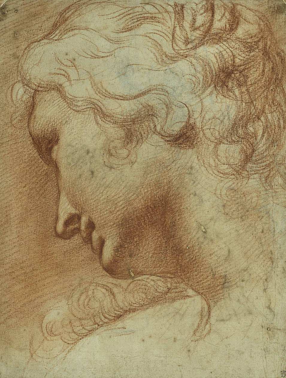Głowa młodej kobiety patrzącej w dół przez prawe ramię (czerwona kreda na papierze) autorstwa Agostino Carracci