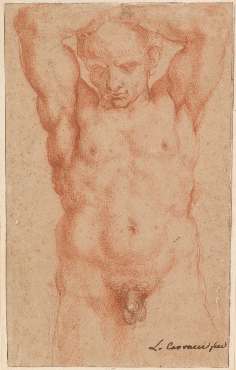 Mężczyzna nago autorstwa Agostino Carracci