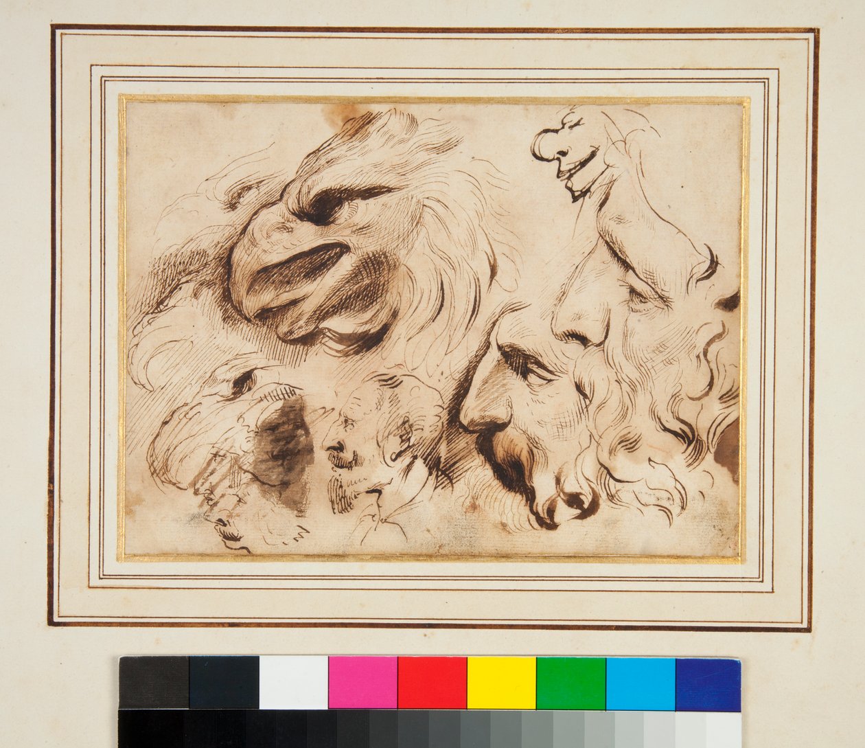 Arkusz studiów z głową orła oraz sylwetki i karykatury mężczyzn (pióro i brązowy tusz oraz trochę brązowego lakieru) autorstwa Agostino Carracci