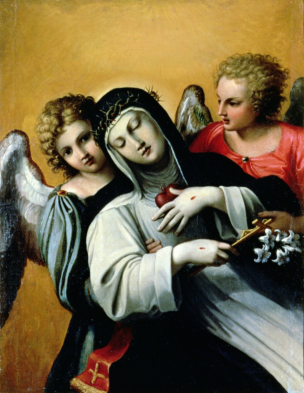 Ekstaza św Katarzyny (olej na płótnie) autorstwa Agostino Carracci