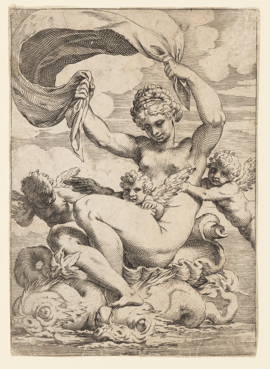 Wenus (lub Galatea) i amorki wspierane przez delfiny autorstwa Agostino Carracci