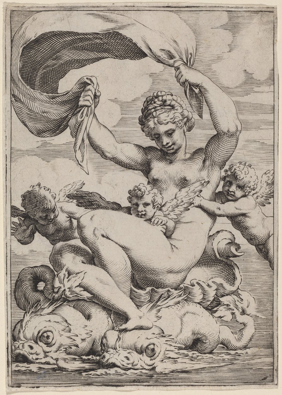 Wenus lub Galatea wspierane przez delfiny autorstwa Agostino Carracci