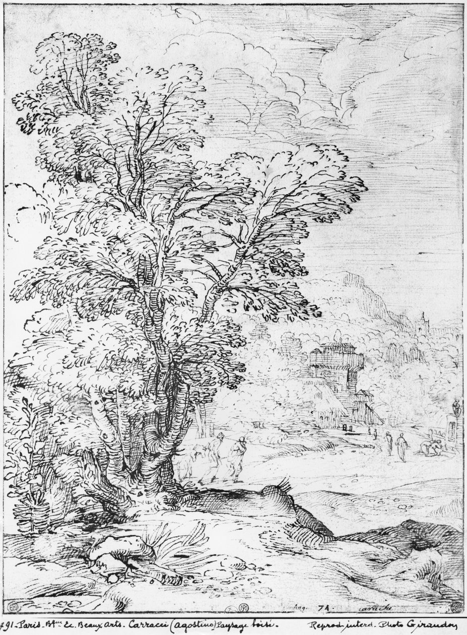 Zalesiony krajobraz (pióro i tusz na papierze) (zdjęcie bw) autorstwa Agostino Carracci