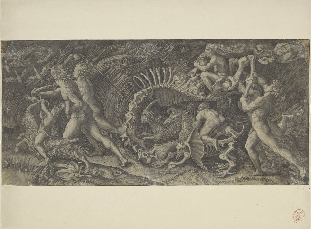 Het karkas Stregozzo autorstwa Agostino Veneziano