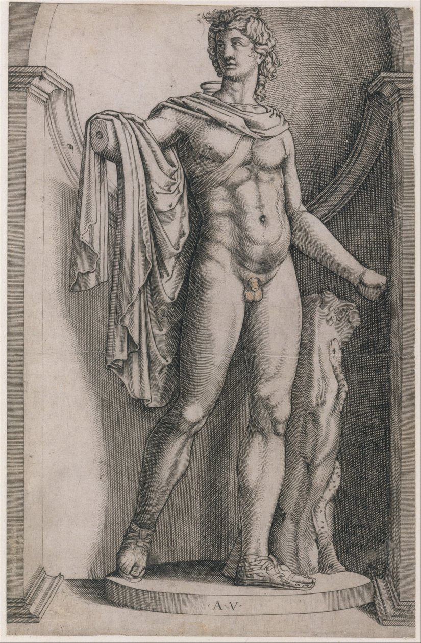 Lustro rzymskiej świetności: Apollo Belvedere, ca. 1514-36, ca. 1514-36. autorstwa Agostino Veneziano