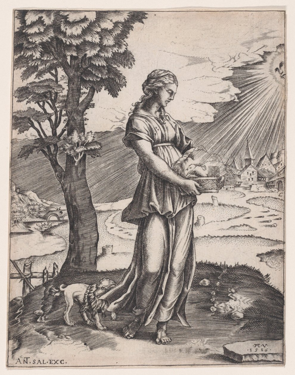 Sybilla Kumejska, datowana na 1516 rok. autorstwa Agostino Veneziano