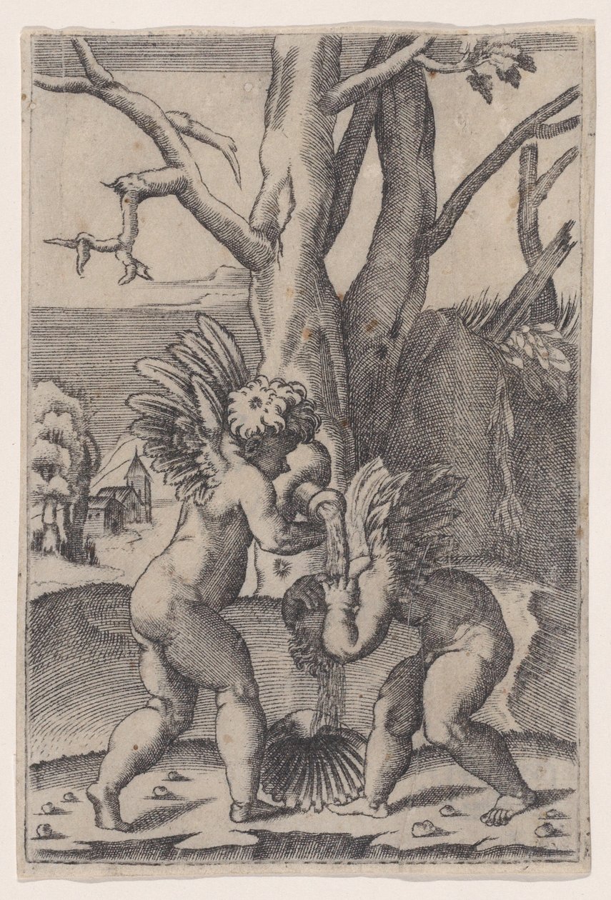 Dwóch amorków, ca. 1519. autorstwa Agostino Veneziano