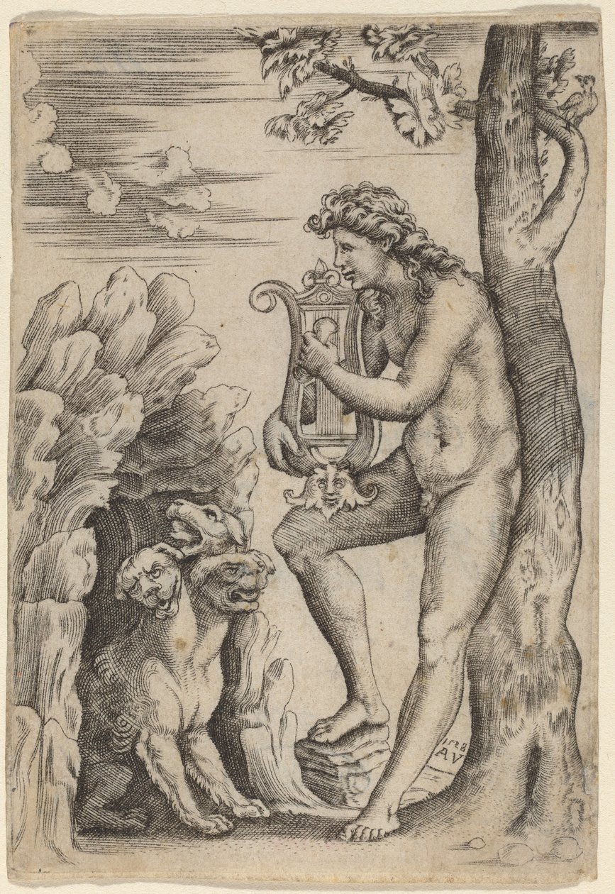 Orfeusz autorstwa Agostino dei Musi