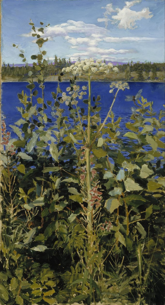 Dzika Angelica autorstwa Akseli Gallen-Kallela