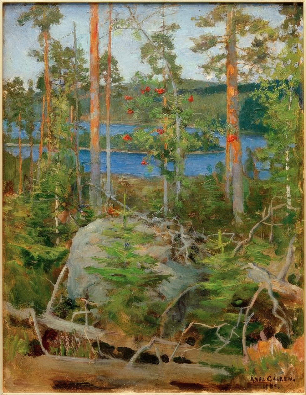 Widok na jezioro Jamajärvi autorstwa Akseli Valdemar Gallen Kallela