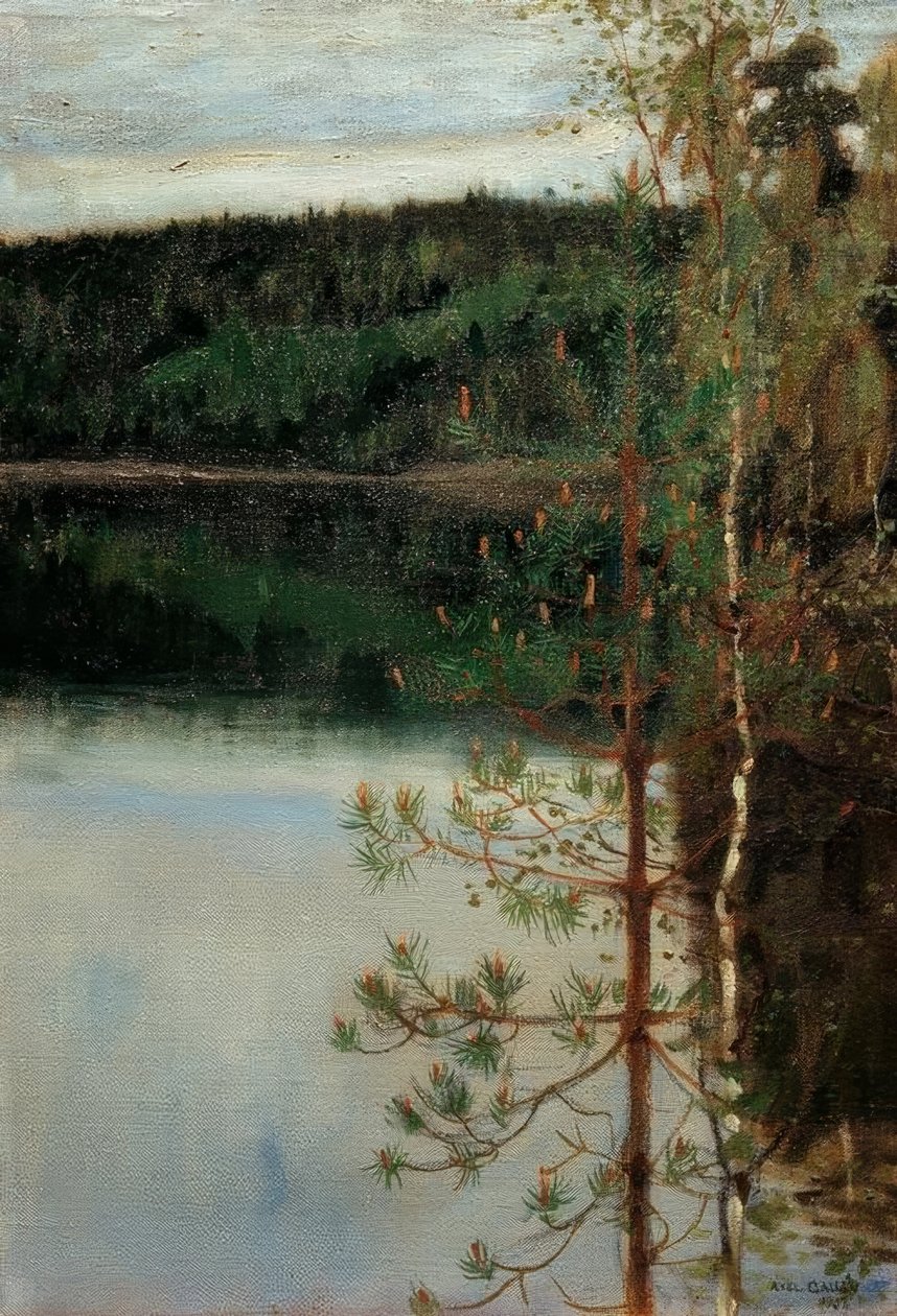 Widok na jezioro autorstwa Akseli Valdemar Gallen Kallela