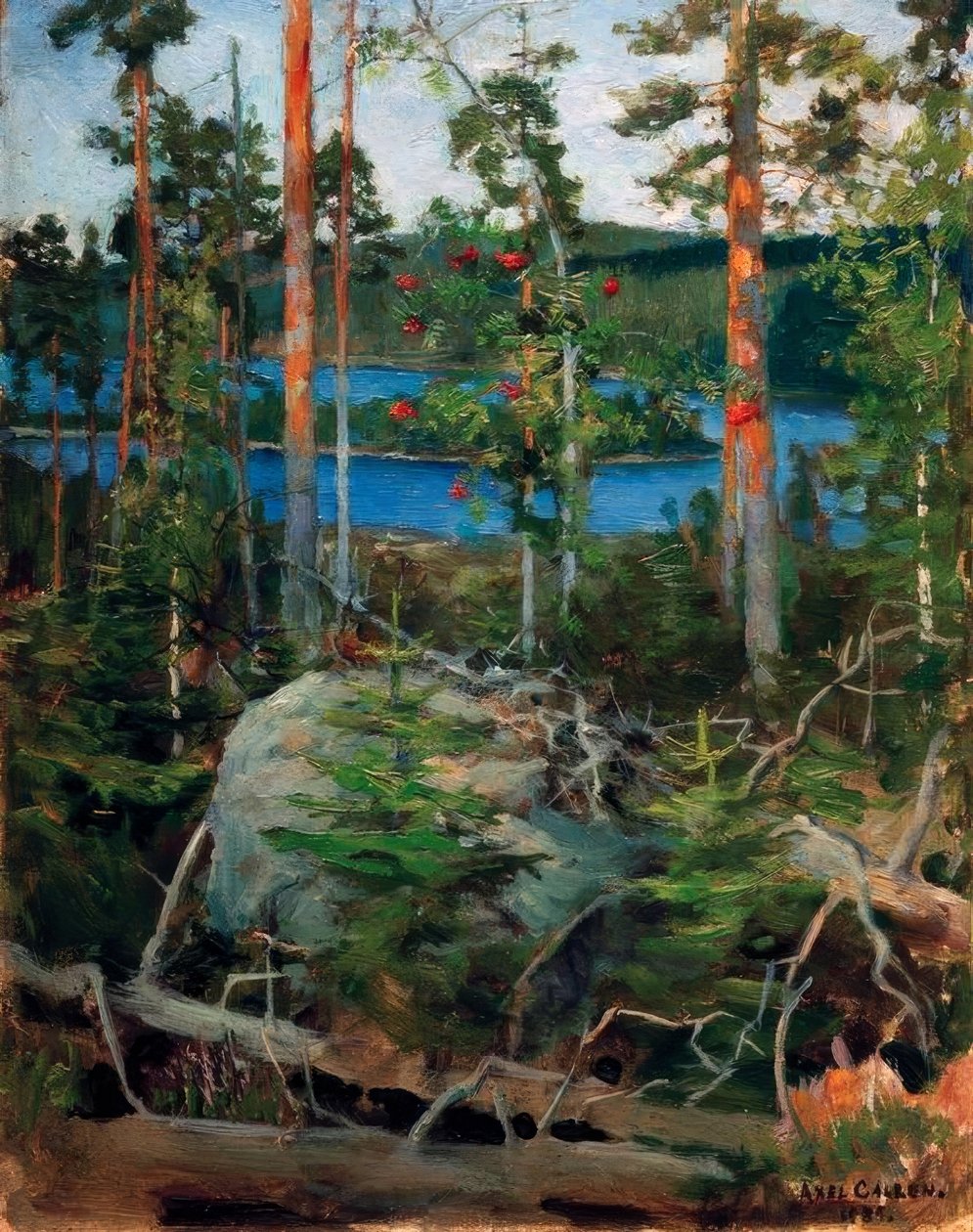 Krajobraz nad jeziorem Jamajärvi autorstwa Akseli Valdemar Gallen Kallela