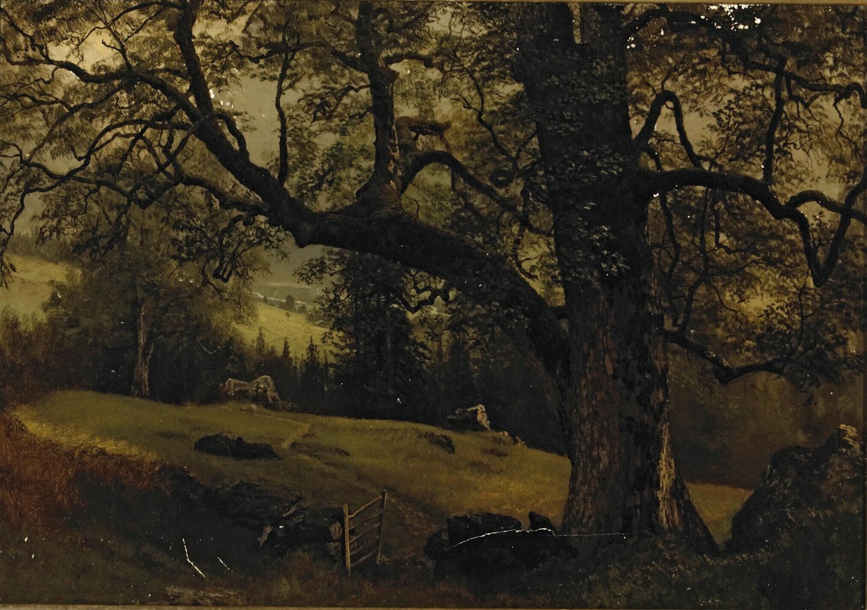 Szlak przez drzewa autorstwa Albert Bierstadt