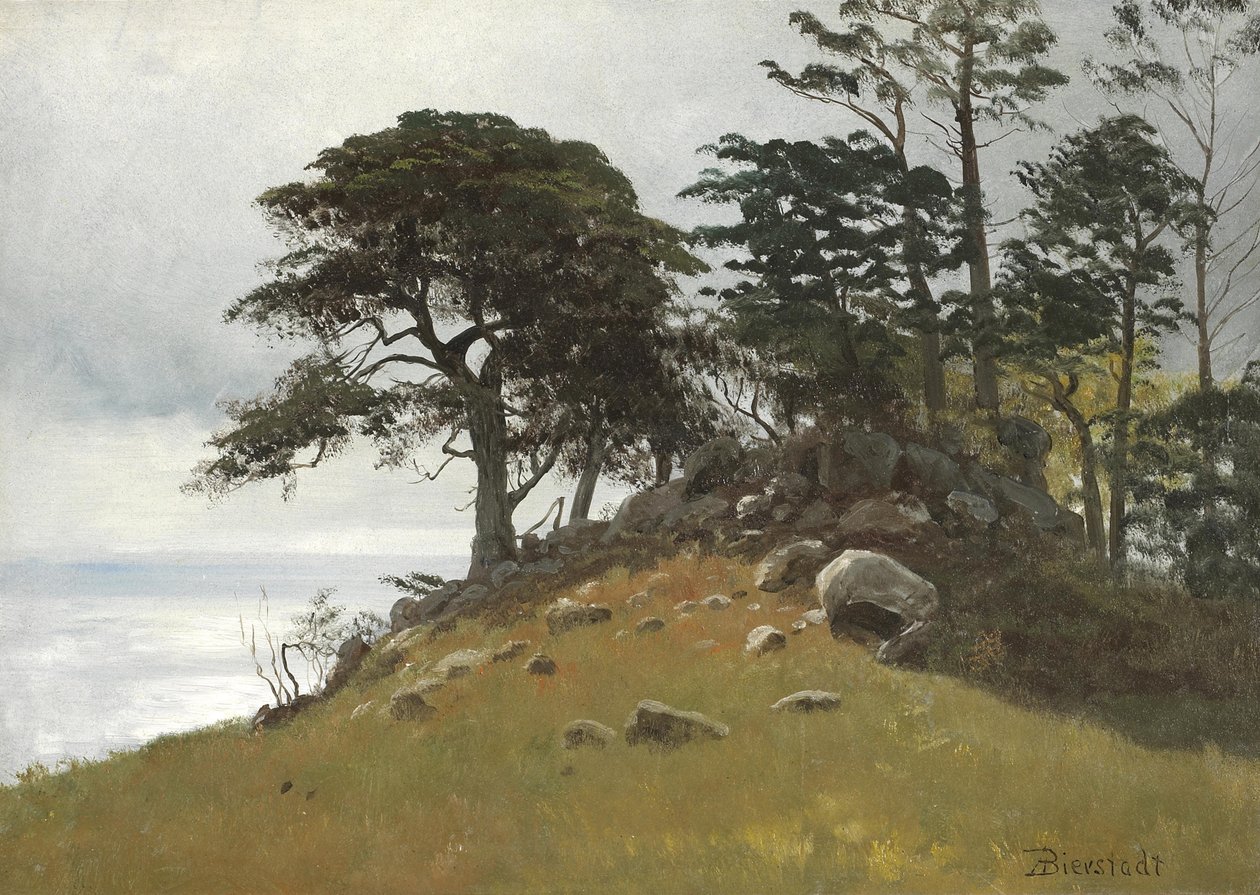 Cyprysowy Punkt, Monterey autorstwa Albert Bierstadt