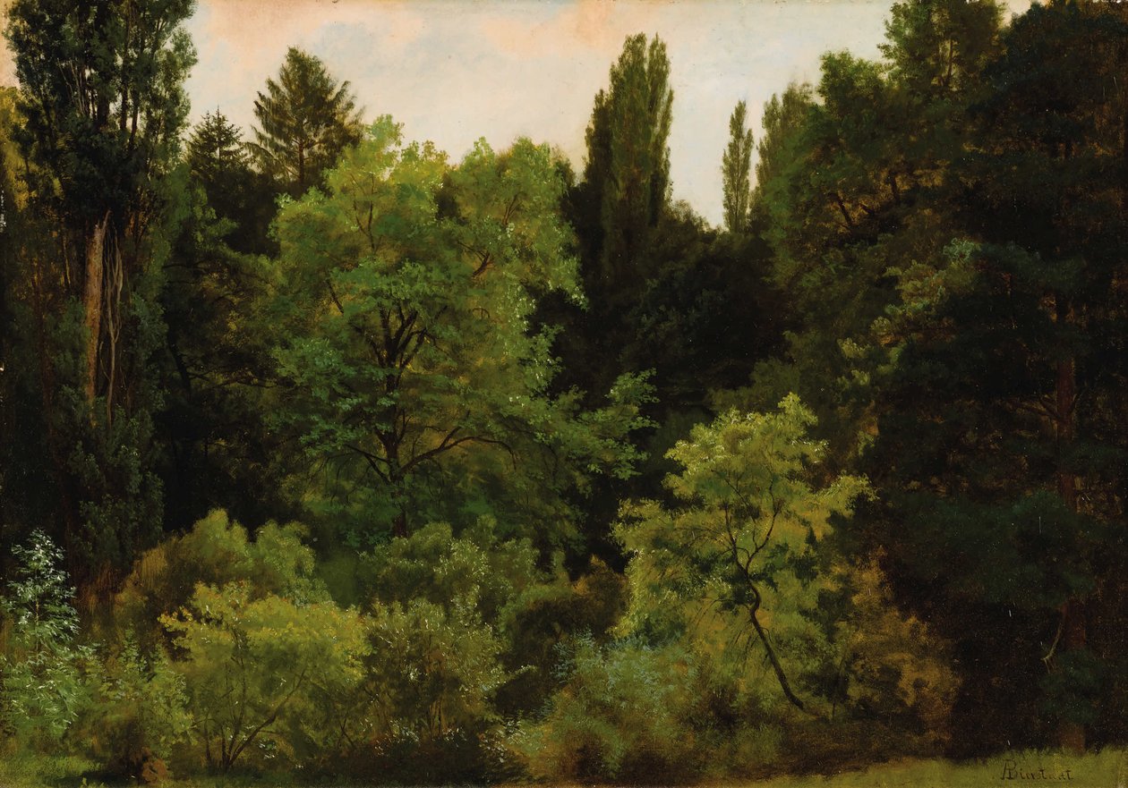 Głęboko w Górach Skalistych autorstwa Albert Bierstadt