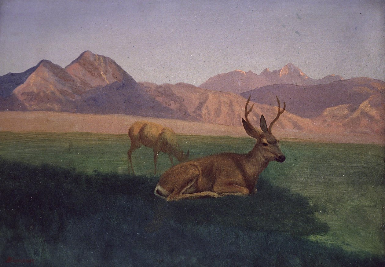 Jeleń autorstwa Albert Bierstadt