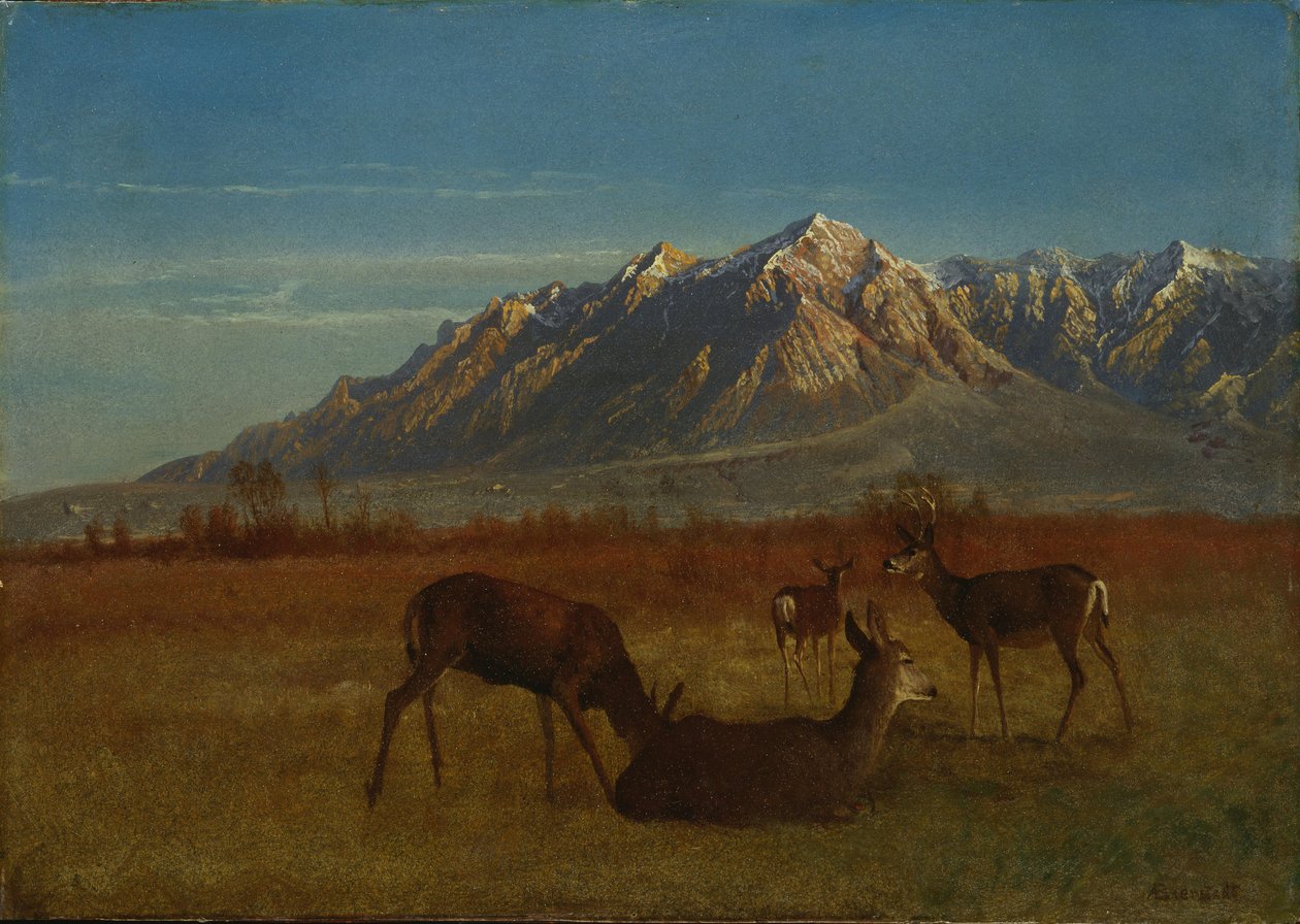 Jeleń w Mountain Home autorstwa Albert Bierstadt