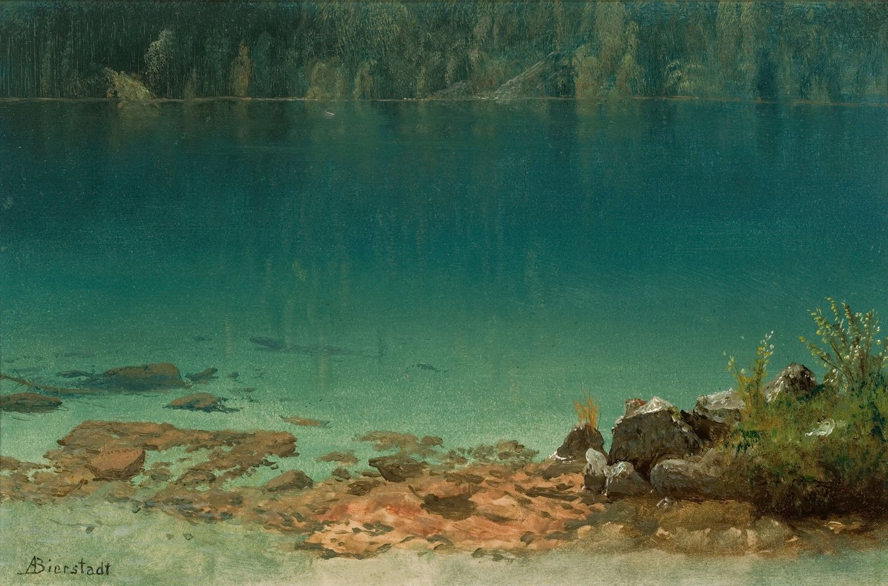 Scena nad jeziorem autorstwa Albert Bierstadt