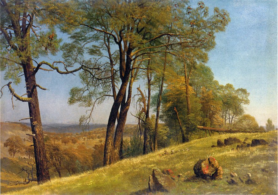 Krajobraz w hrabstwie Rockland w Kalifornii autorstwa Albert Bierstadt