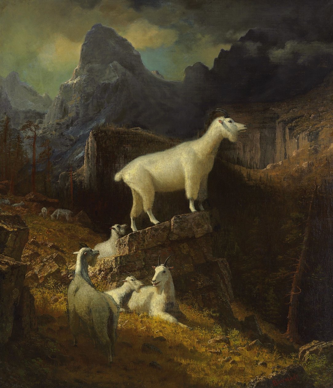 Kozy Gór Skalistych autorstwa Albert Bierstadt