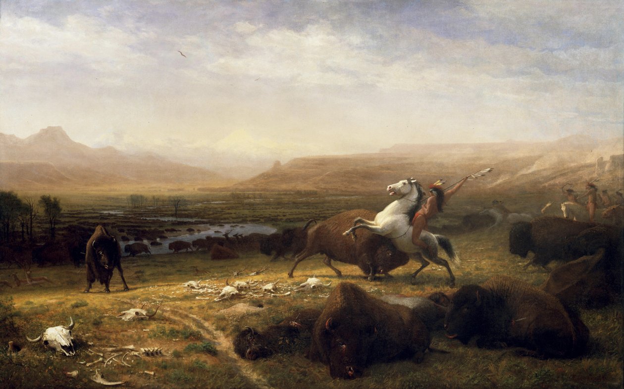 Ostatni z bizonów autorstwa Albert Bierstadt
