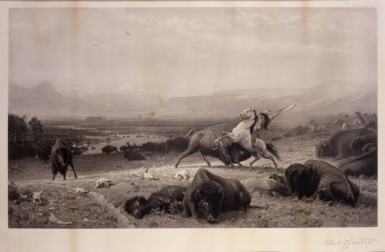 Ostatni z bizonów autorstwa Albert Bierstadt