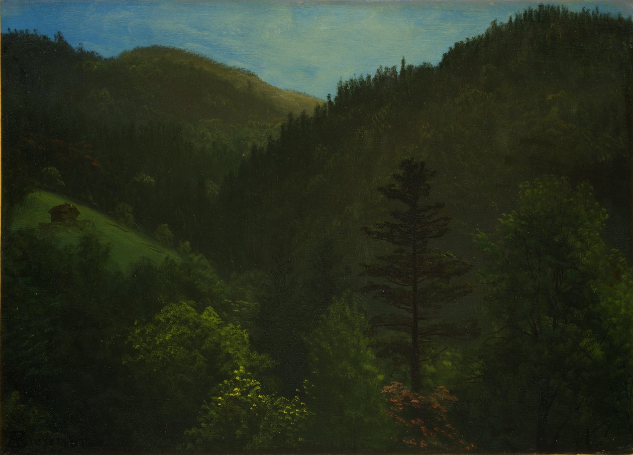 Zalesiony krajobraz autorstwa Albert Bierstadt