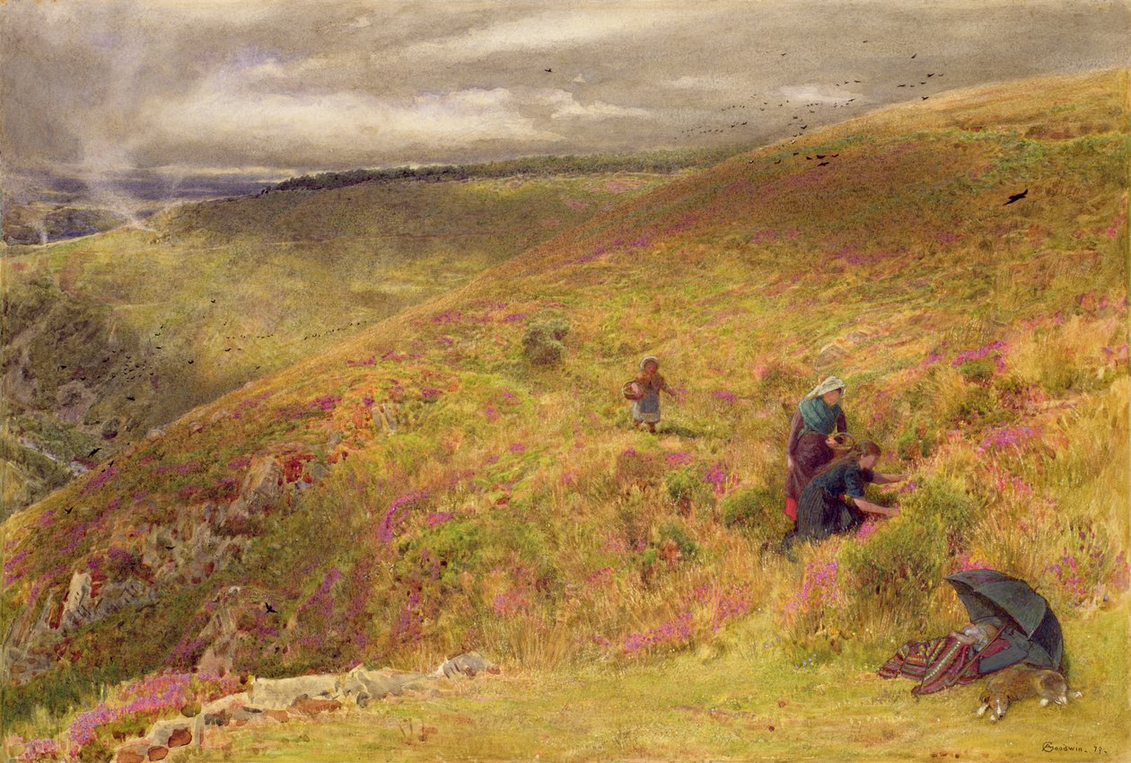 On the South Downs, 1879 (toaleta, kolor nadwozia, tusz i drapanie na papierze) autorstwa Albert Goodwin