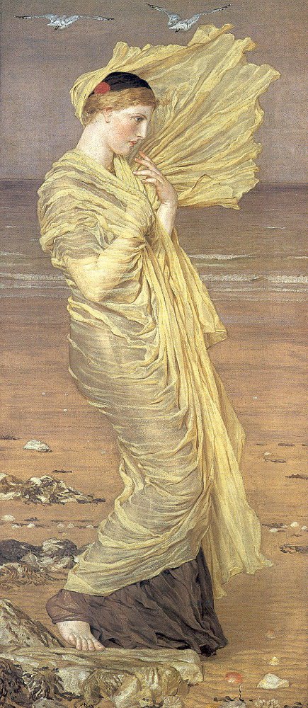Mewy autorstwa Albert Joseph Moore