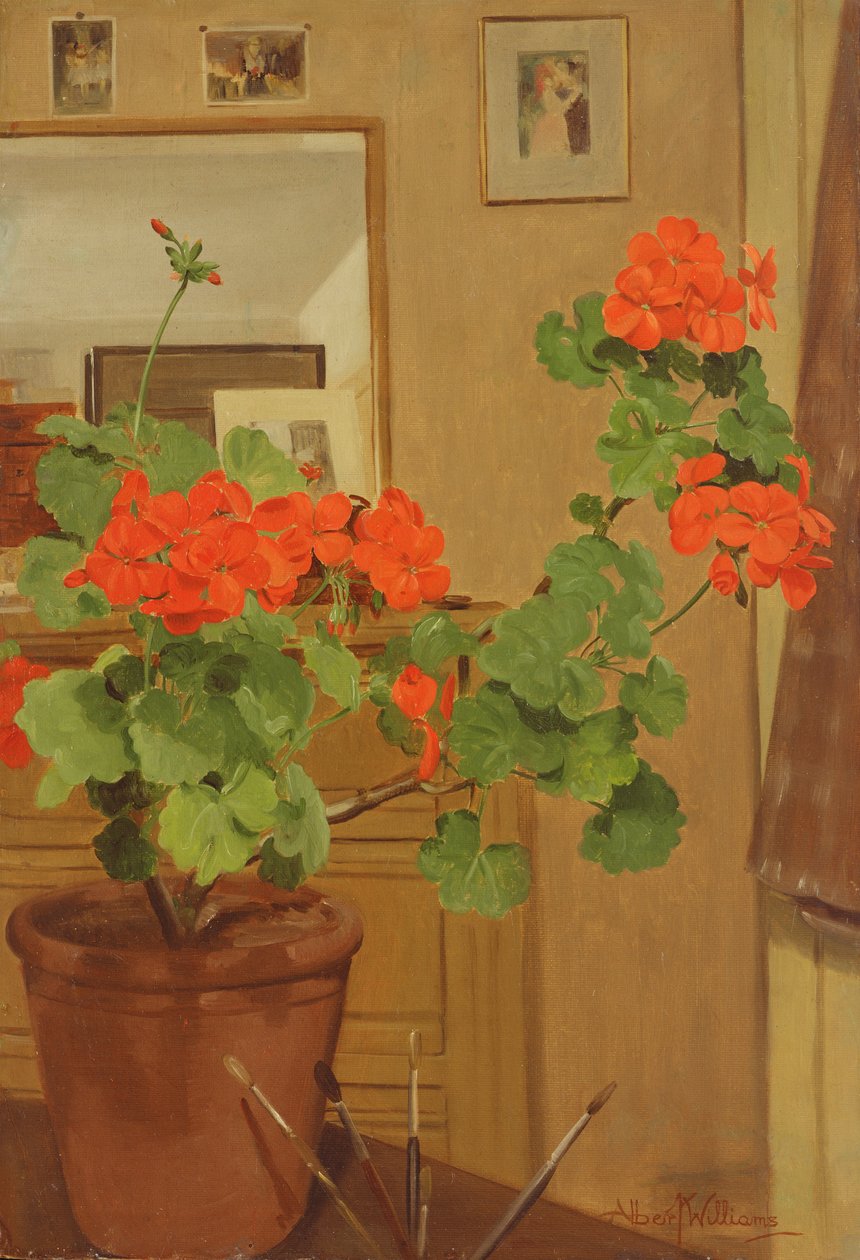 AB319 Pelargonie w kąciku studyjnym, 1948-49 autorstwa Albert Williams