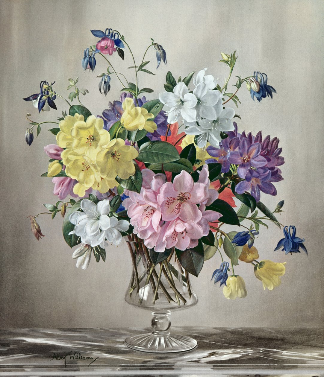PB/321 Rododendrony, azalie i orlik w szklanym wazonie autorstwa Albert Williams