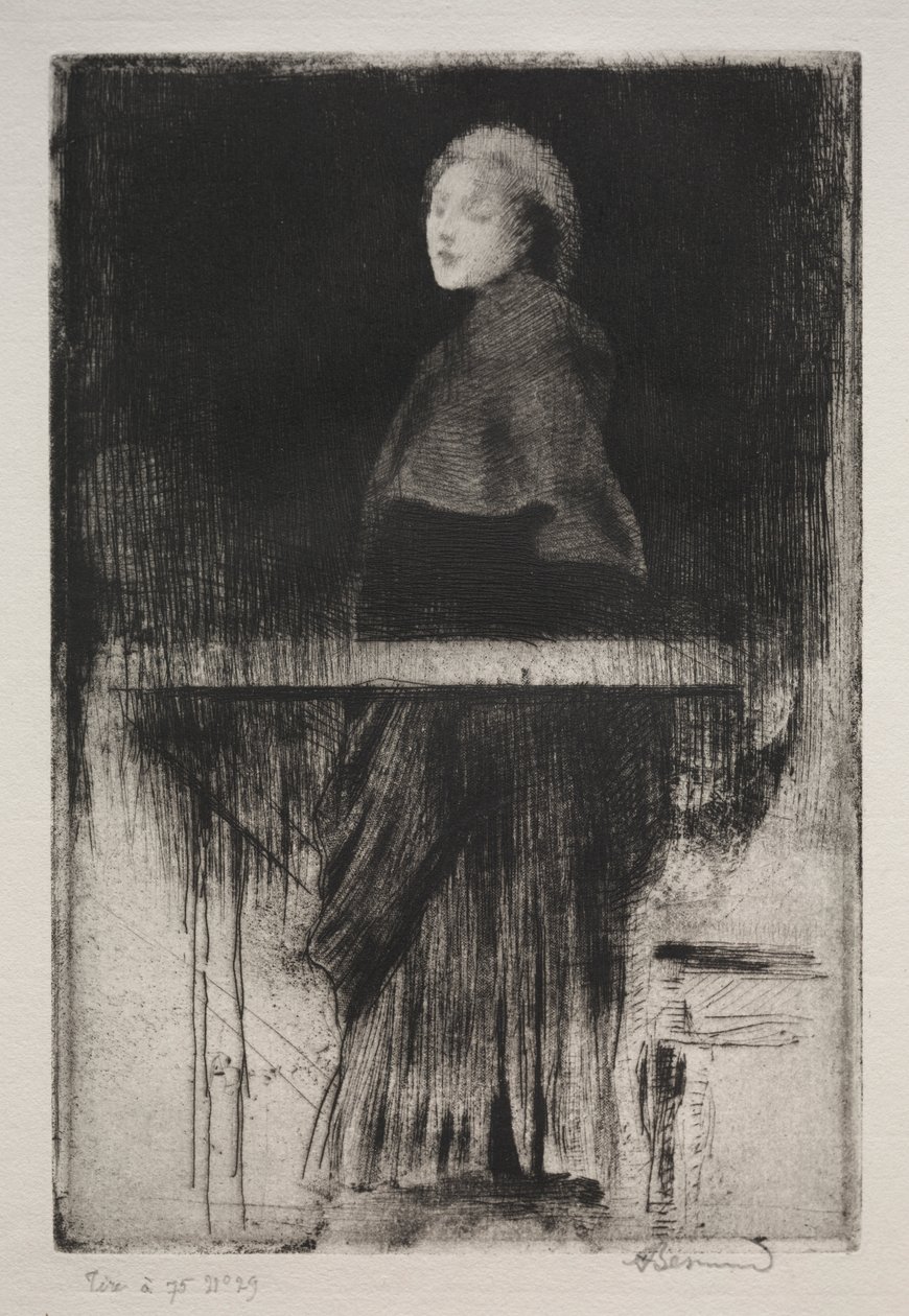 Kobieta w pelerynie autorstwa Albert Besnard