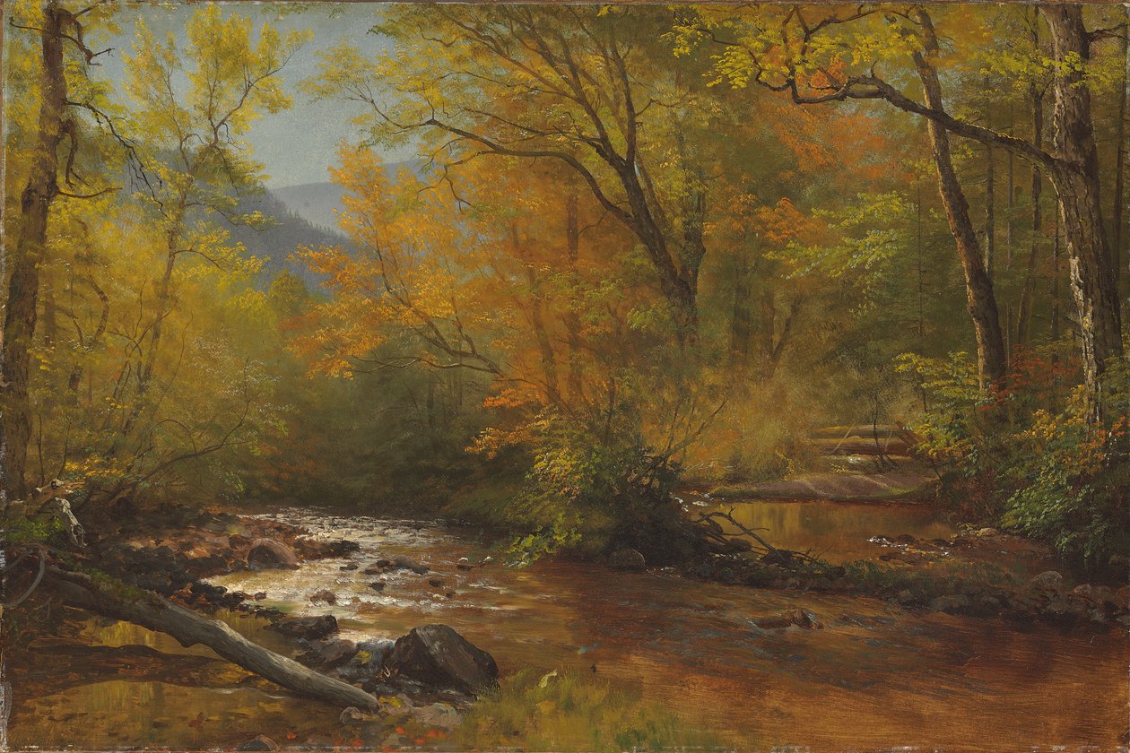 Potok w lesie autorstwa Albert Bierstadt