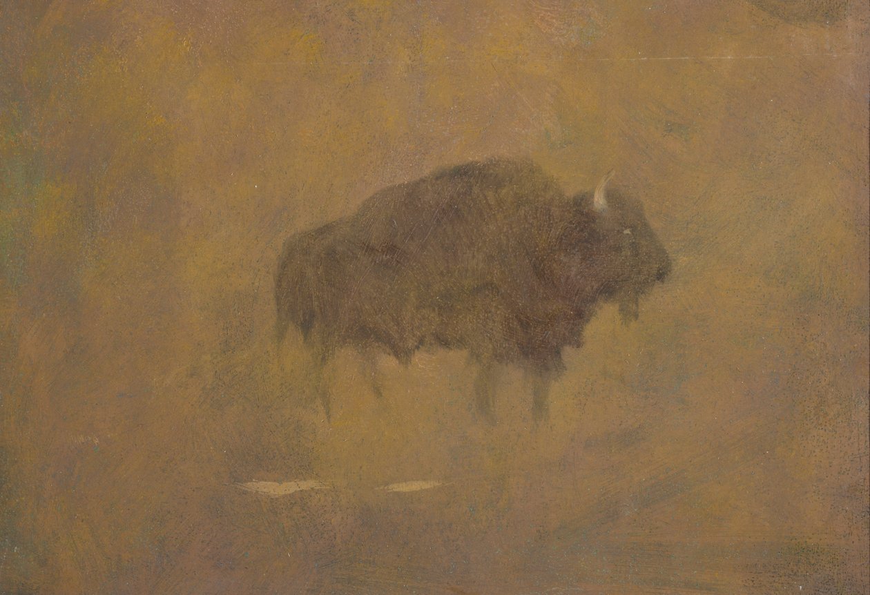 Buffalo in a Sandstorm (olej na papierze zamontowany na pokładzie) autorstwa Albert Bierstadt