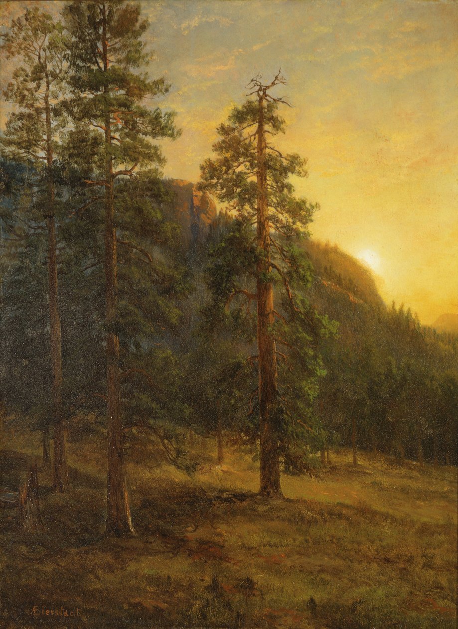 Kalifornijskie sekwoje autorstwa Albert Bierstadt