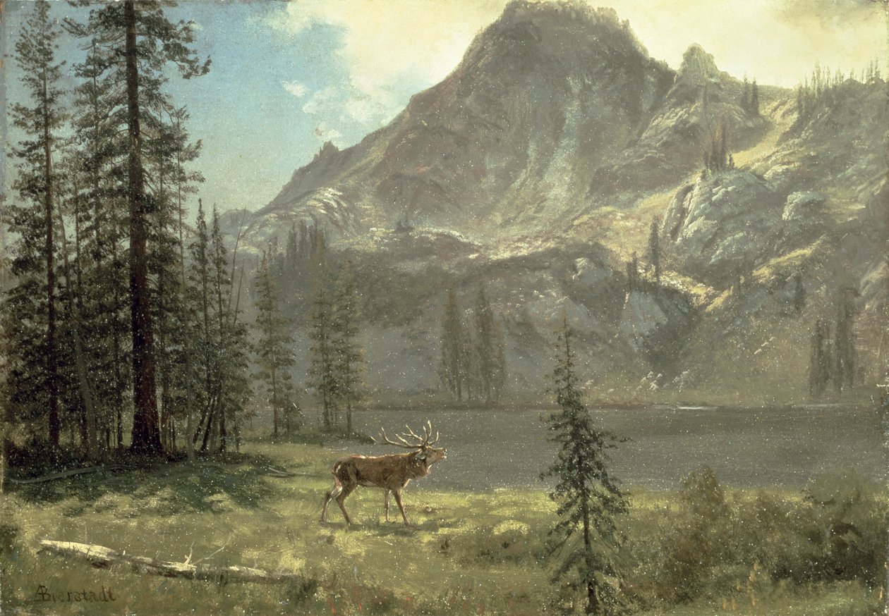 Zew natury autorstwa Albert Bierstadt