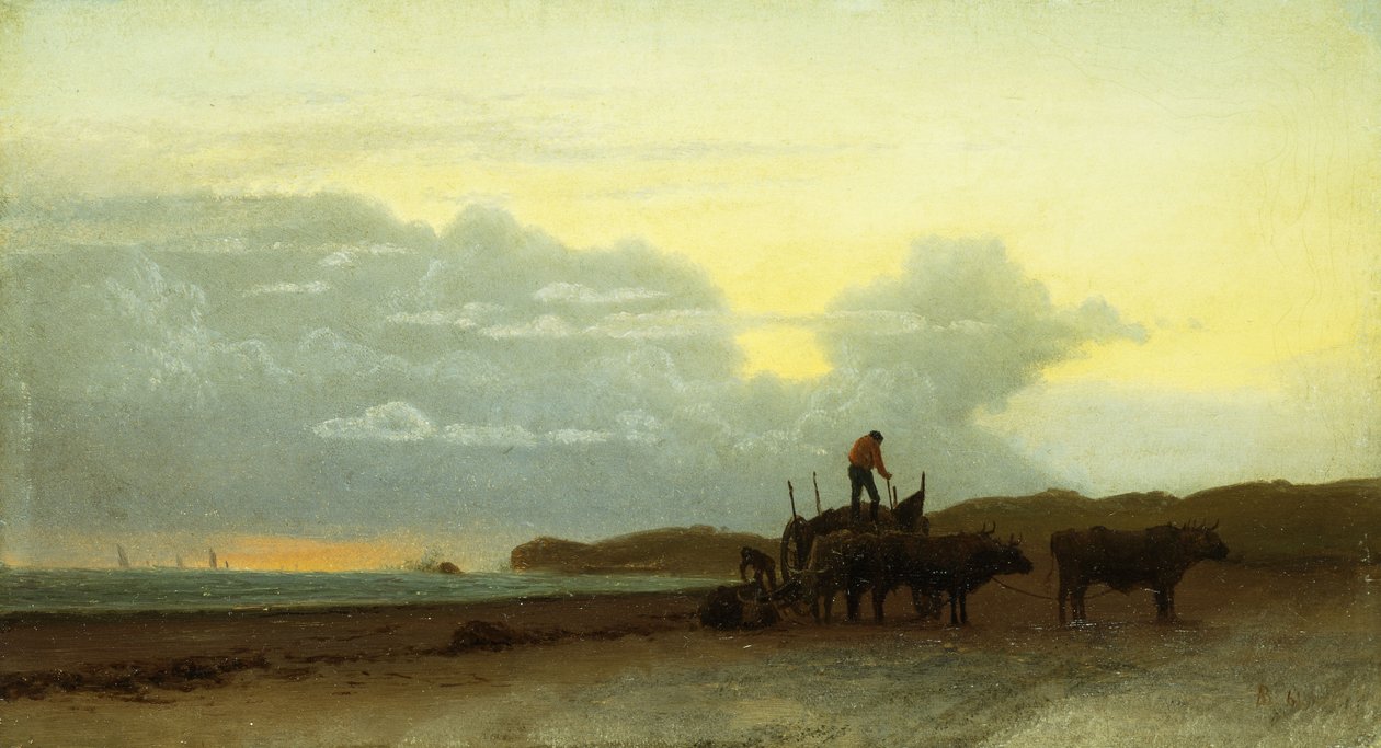 Widok na wybrzeże, Newport, 1861 autorstwa Albert Bierstadt