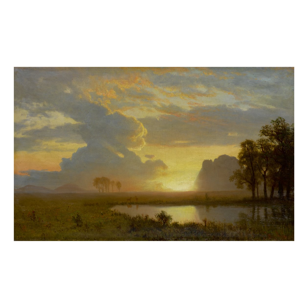 ESTES PARK, COLORADO autorstwa Albert Bierstadt