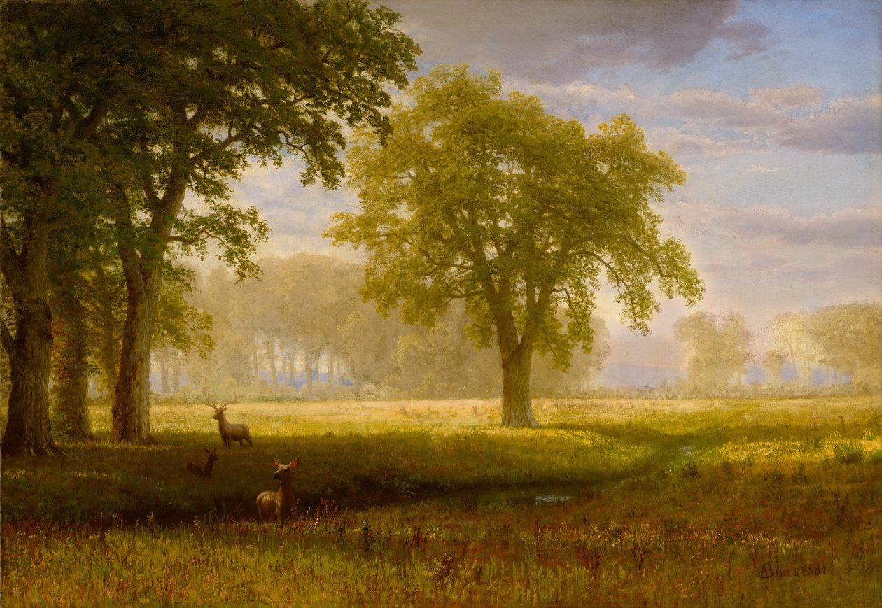 Łoś w Oak Grove (Tuolumne Meadows) autorstwa Albert Bierstadt