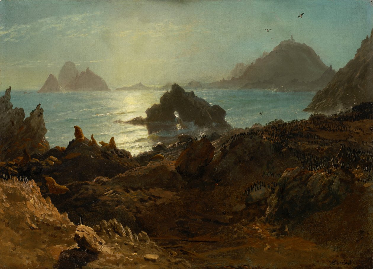 Wyspy Farallon, Ocean Spokojny, Kalifornia autorstwa Albert Bierstadt