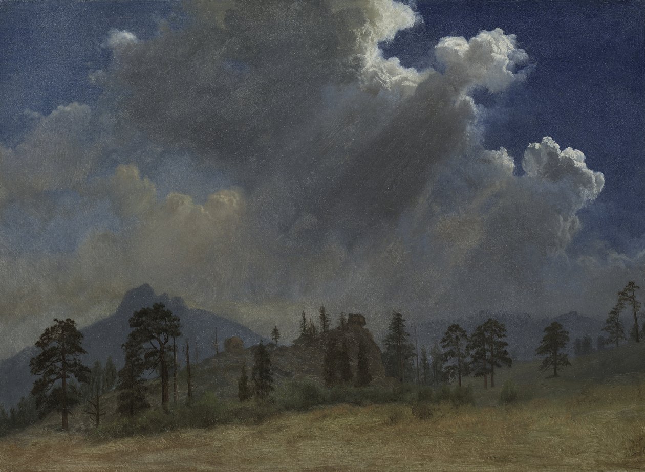 Jodły i burzowe chmury, ok. 1870 (olej na papierze na płótnie) autorstwa Albert Bierstadt