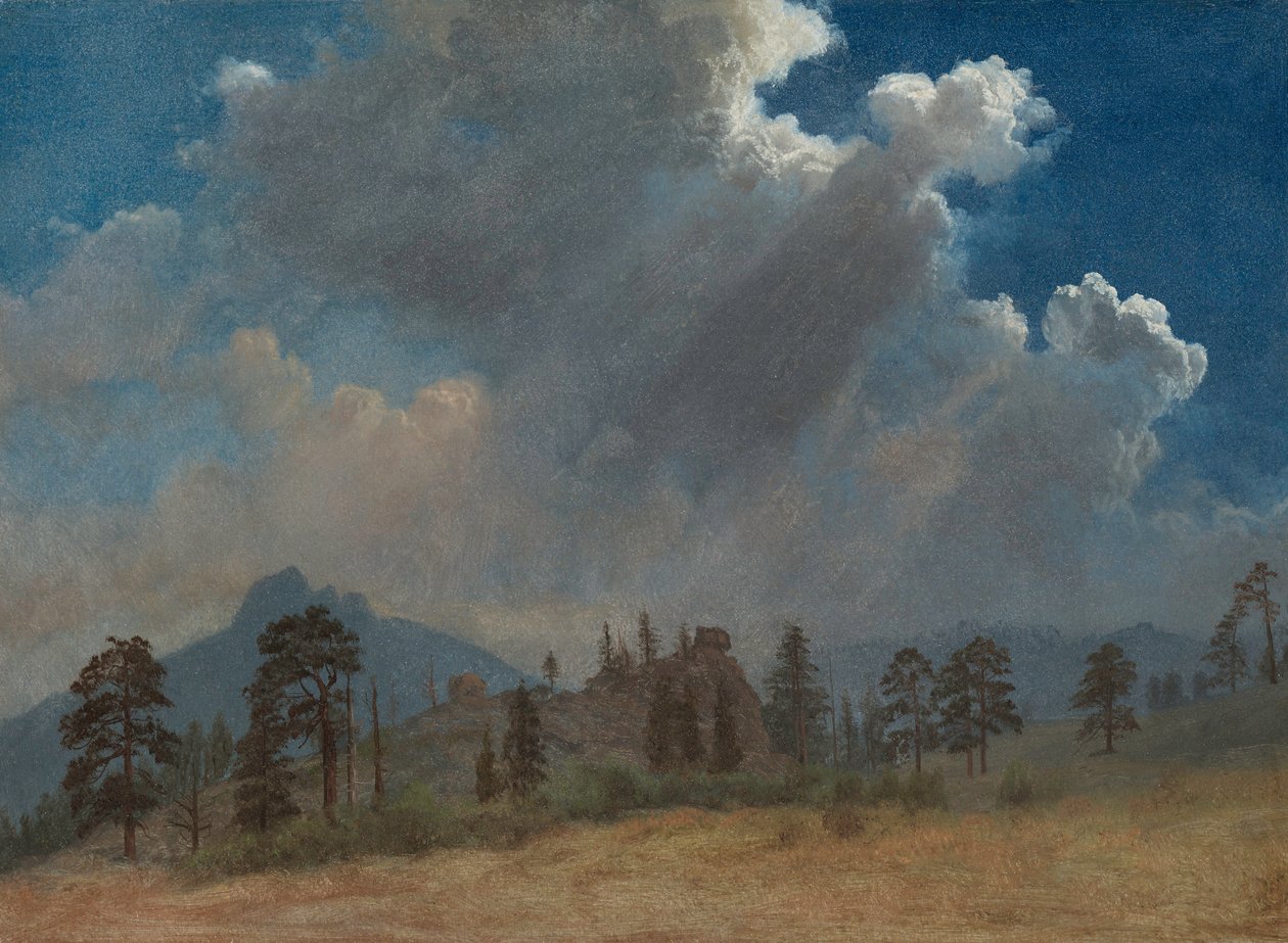 jodły i chmury burzowe 1870. autorstwa Albert Bierstadt