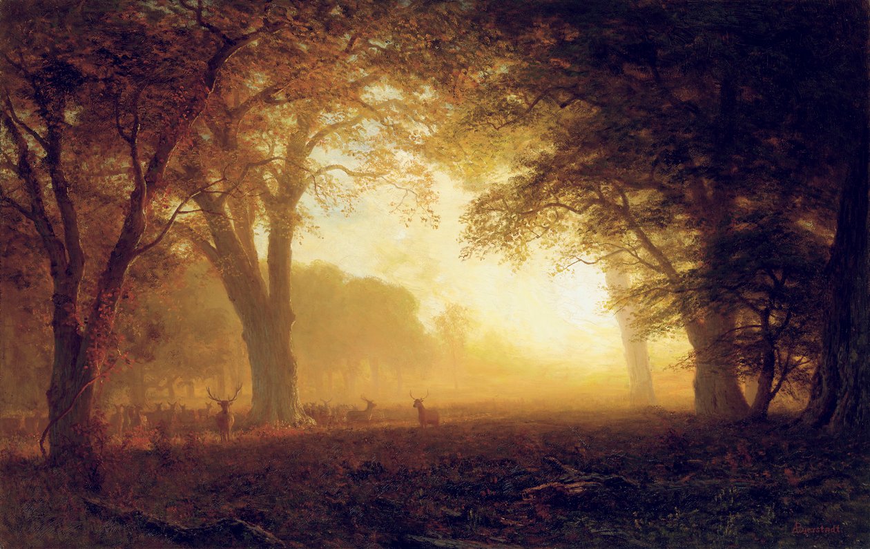 Złote Światło Kalifornii autorstwa Albert Bierstadt
