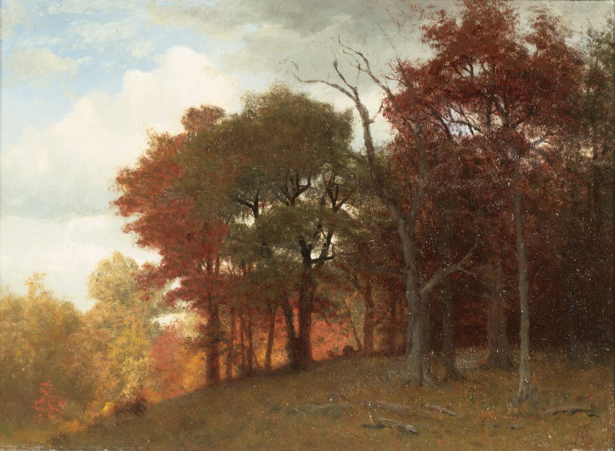 Hastings nad rzeką Hudson, 1865 (olej na płótnie) autorstwa Albert Bierstadt