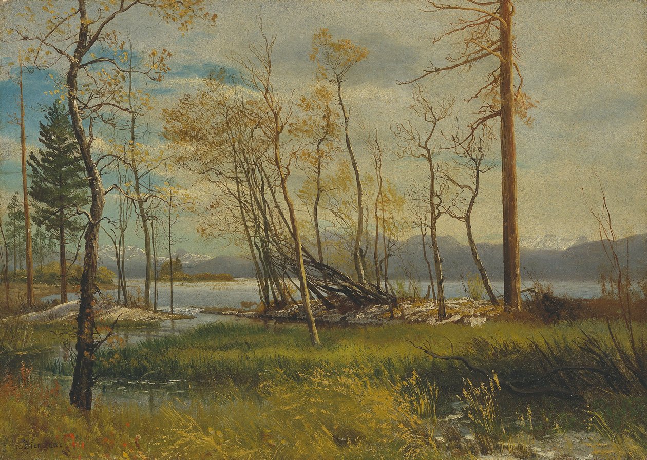Jezioro Tahoe autorstwa Albert Bierstadt